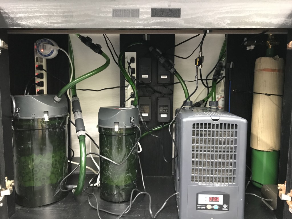 水槽台内に設置された外部フィルターとクーラーとボンベ