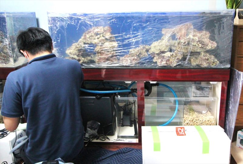 大型海水魚水槽を設置する作業員とろ過槽の機材群