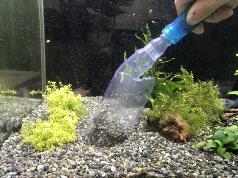 クリーナーポンプで水槽の砂利を掃除する手元