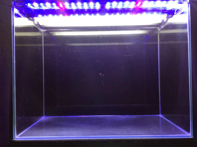 青白く光るLED照明を設置した空のガラス水槽