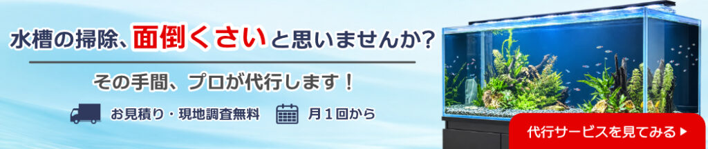 水槽清掃代行サービスの見出し画像