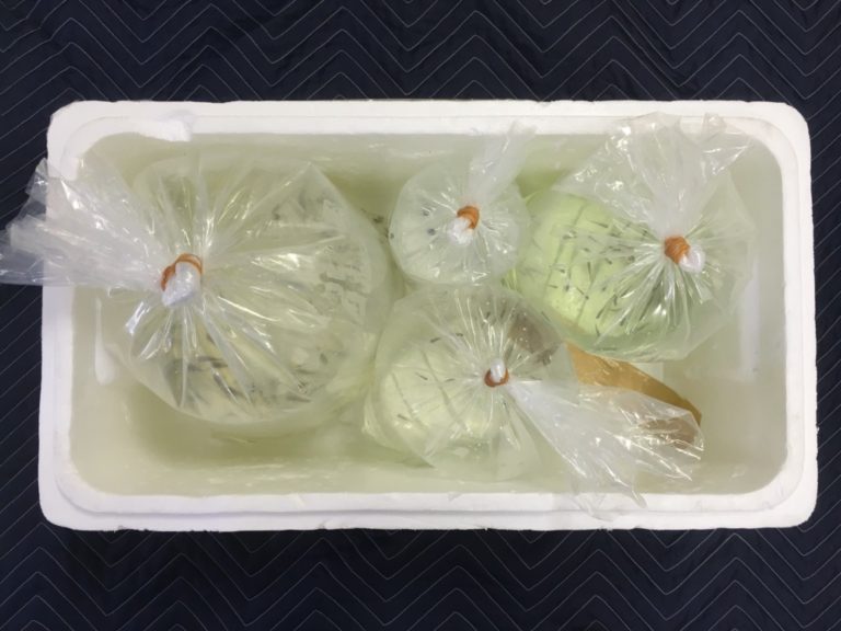 発泡スチロール箱に入った観賞魚パッキング袋の俯瞰画像