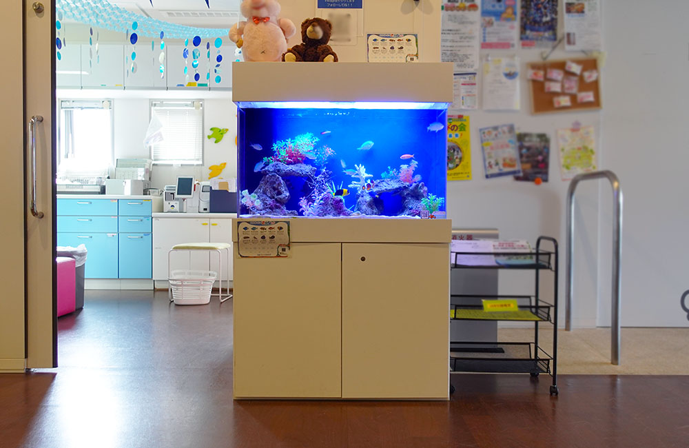 青い照明の海水魚水槽が置かれた明るい施設内ロビー