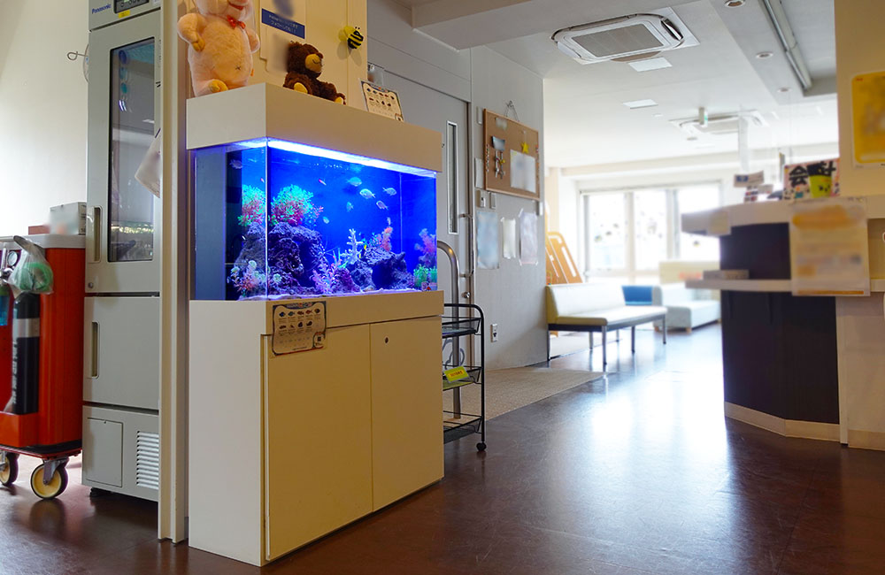 病院の待合室に設置された青い照明の海水魚水槽
