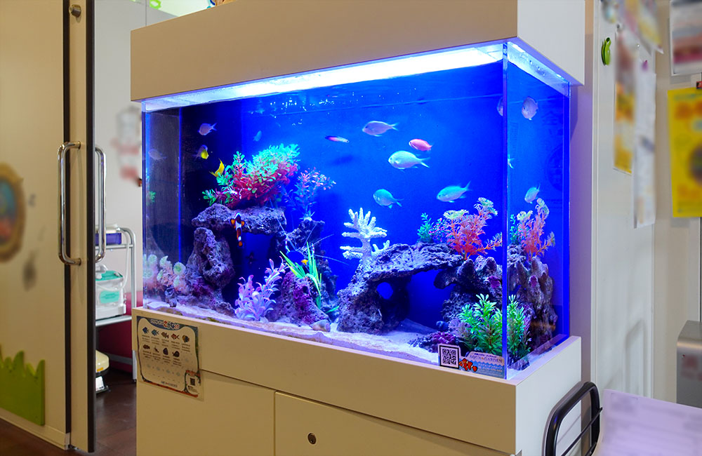 青い照明の海水魚水槽と白い水槽台の設置例