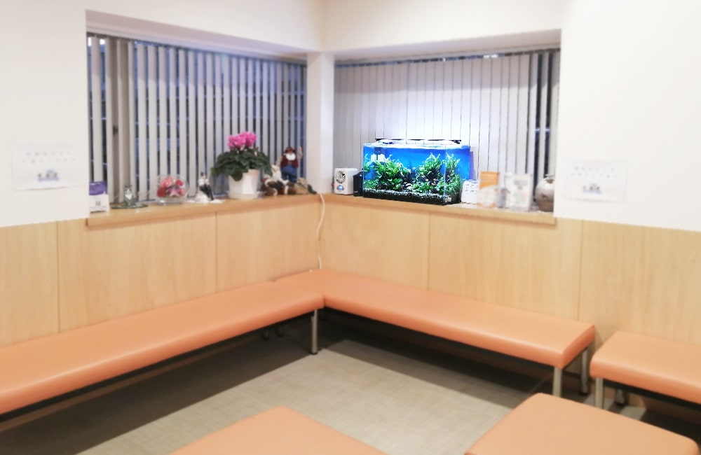 待合室のベンチと窓際に設置された水草水槽