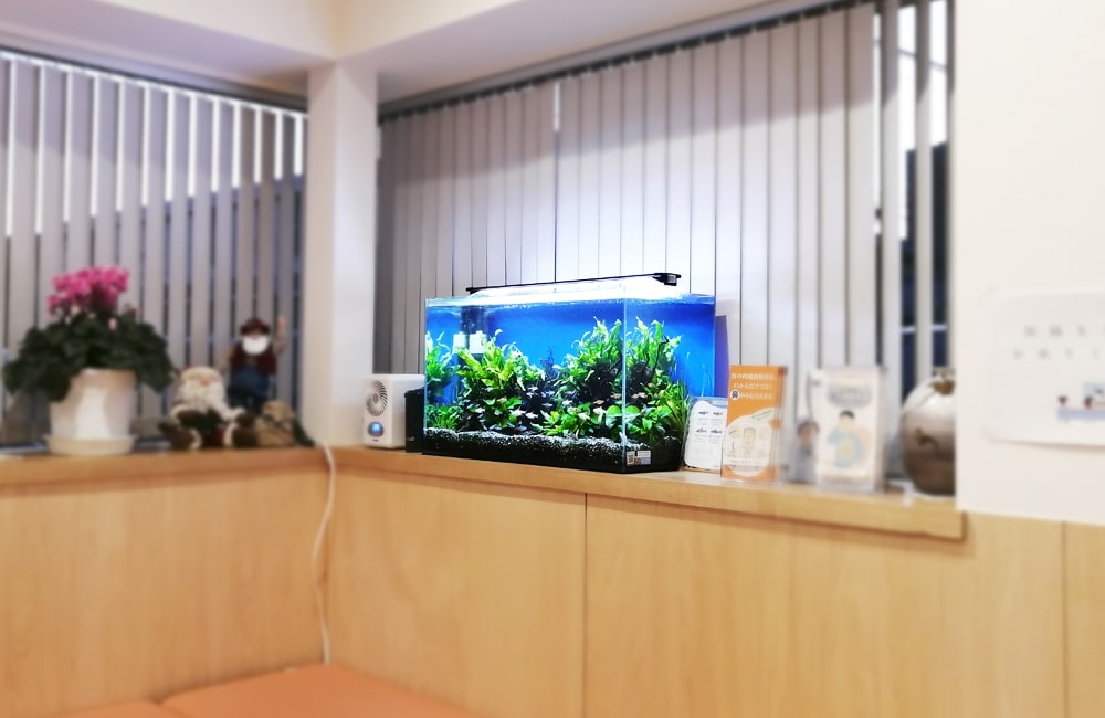 待合室の棚に設置された水草が茂る小型水槽の全景