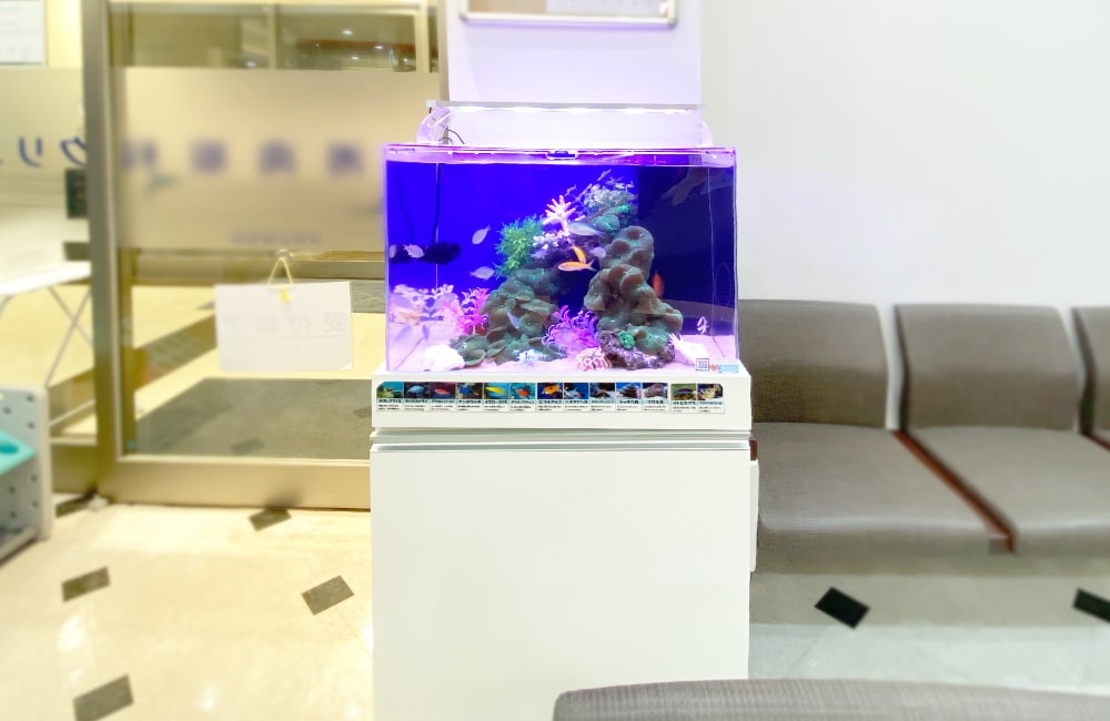 眼科 水槽 アクアリウム