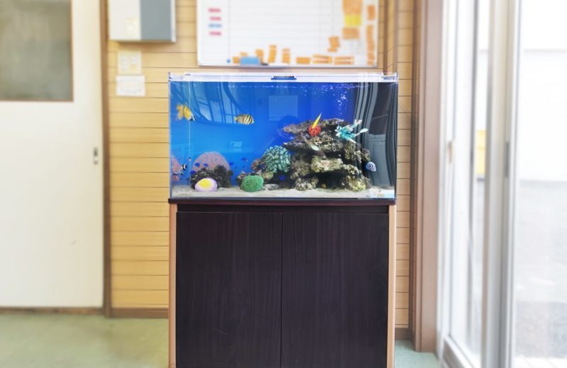 愛知県碧南市 事務所に設置 90cm海水魚水槽 水槽リース事例 水槽画像2