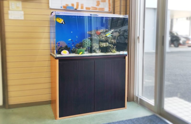 愛知県碧南市 事務所に設置 90cm海水魚水槽 水槽リース事例 水槽画像5