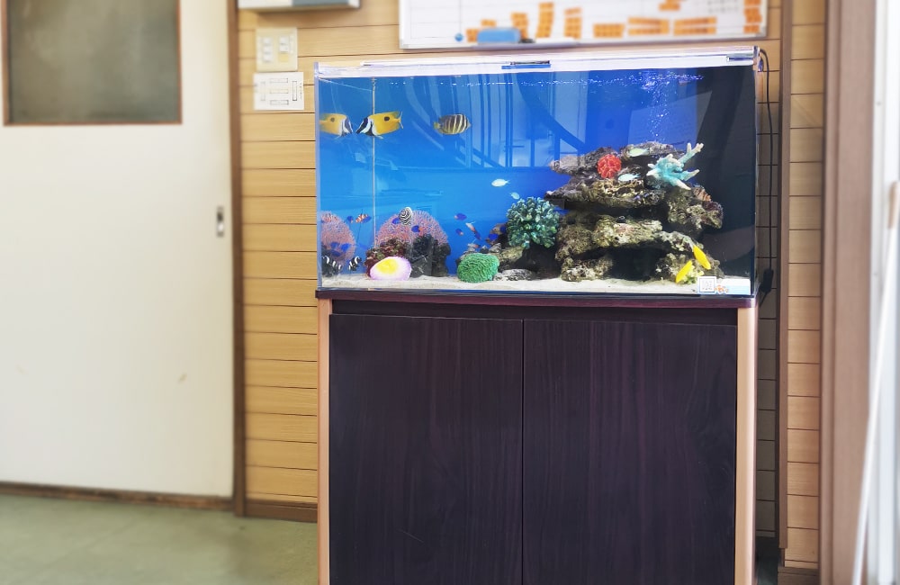 水槽リース 水槽レンタル 事例