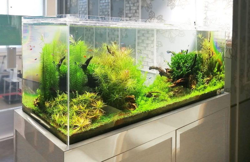 横浜 眼科クリニック 120cm淡水魚水槽 販売・メンテナンス事例 水槽画像1