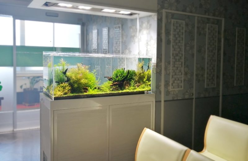 横浜 眼科クリニック 120cm淡水魚水槽 販売・メンテナンス事例 水槽画像3