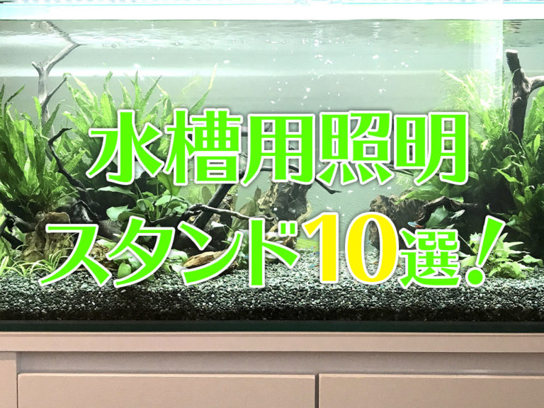 水槽用照明スタンド10選！ライトスタンドで水槽周りをスッキリさせよう！のサムネイル画像