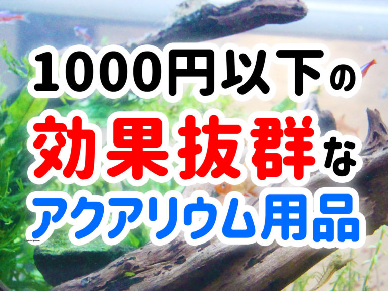 1000円以下の効果抜群なアクアリウム用品の見出し画像