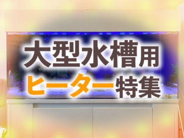 大型水槽用ヒーター特集！大型水槽におすすめの機種と最適な保温の考え方