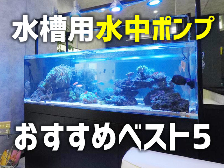 水槽用水中ポンプおすすめベスト5の見出し画像