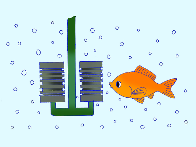 スポンジフィルターと泳ぐ金魚のイラスト