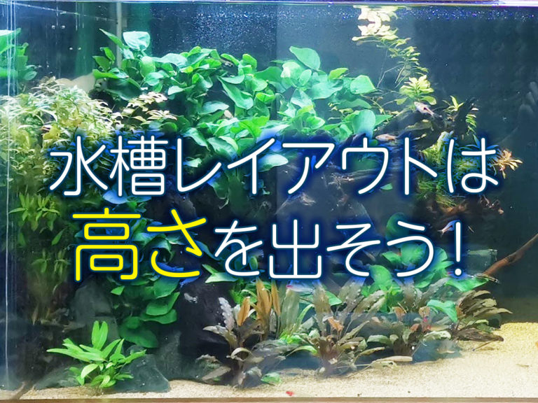 水槽レイアウトは高さを出そう！の文字と水草水槽の見出し画像
