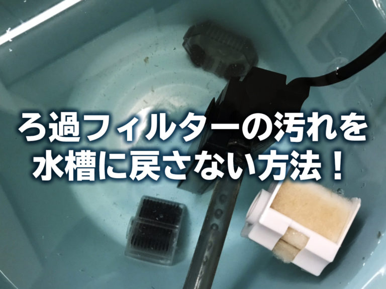 ろ過フィルターの汚れを水槽に戻さない方法の見出し画像