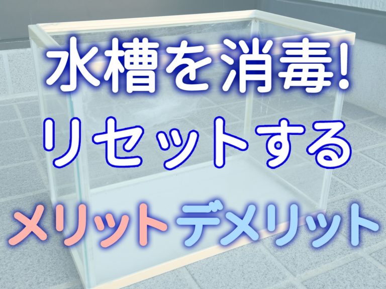 水槽消毒リセットのメリットデメリットの見出し画像