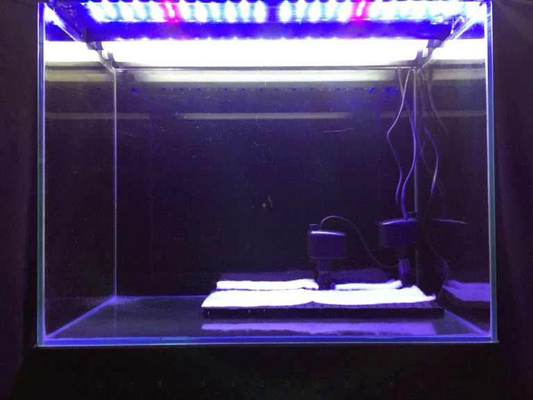 青いLEDライトで照らされた底面フィルター設置済みの空水槽