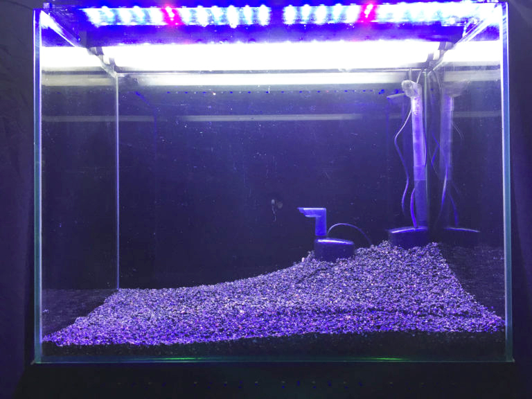青い照明が点灯する砂利を敷いた空の水槽と飼育用品