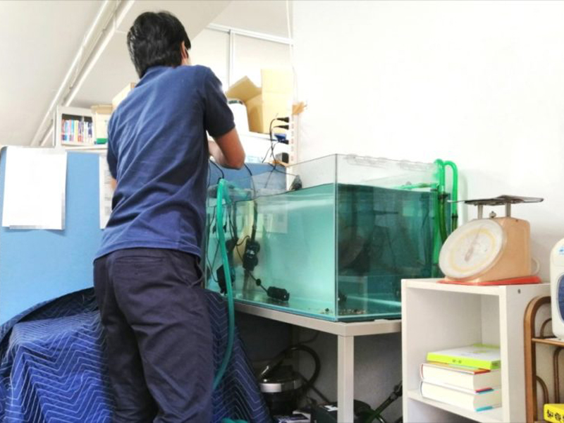 水槽の設置作業を行う青いシャツの男性の背中