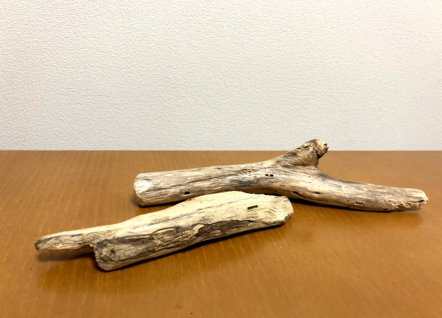木目調の台の上に置かれた二本の細長い流木