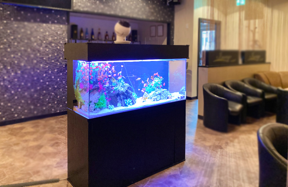 ラウンジの店内に設置された青く光る大型の熱帯魚水槽