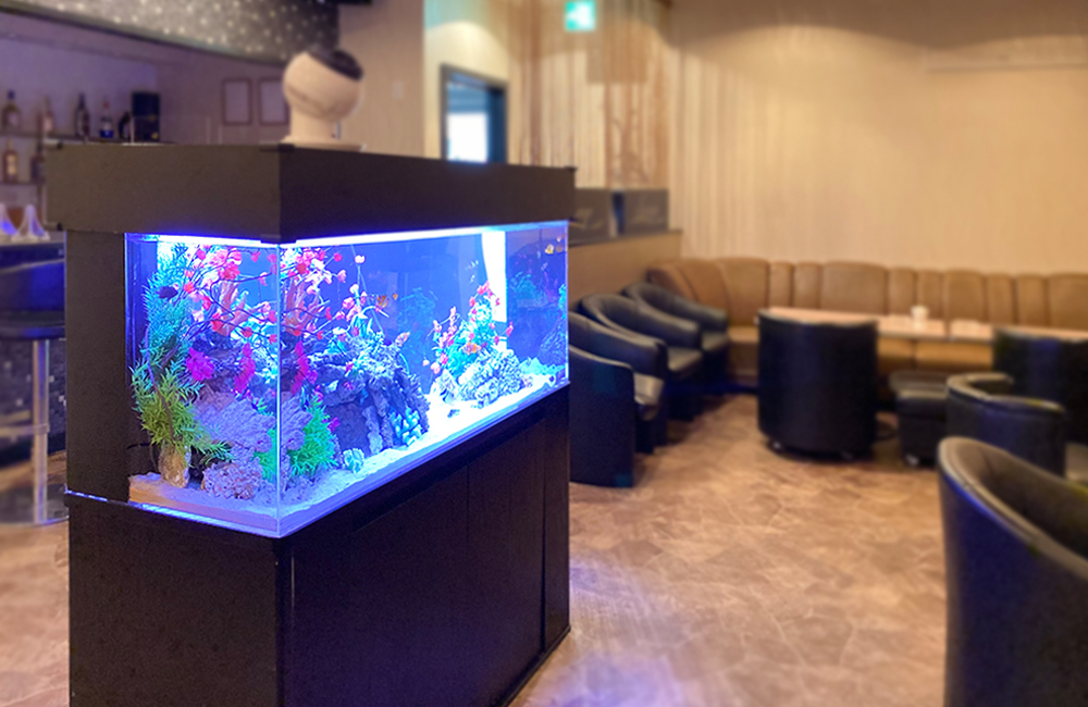 青い照明の海水魚水槽が設置されたラウンジの店内風景