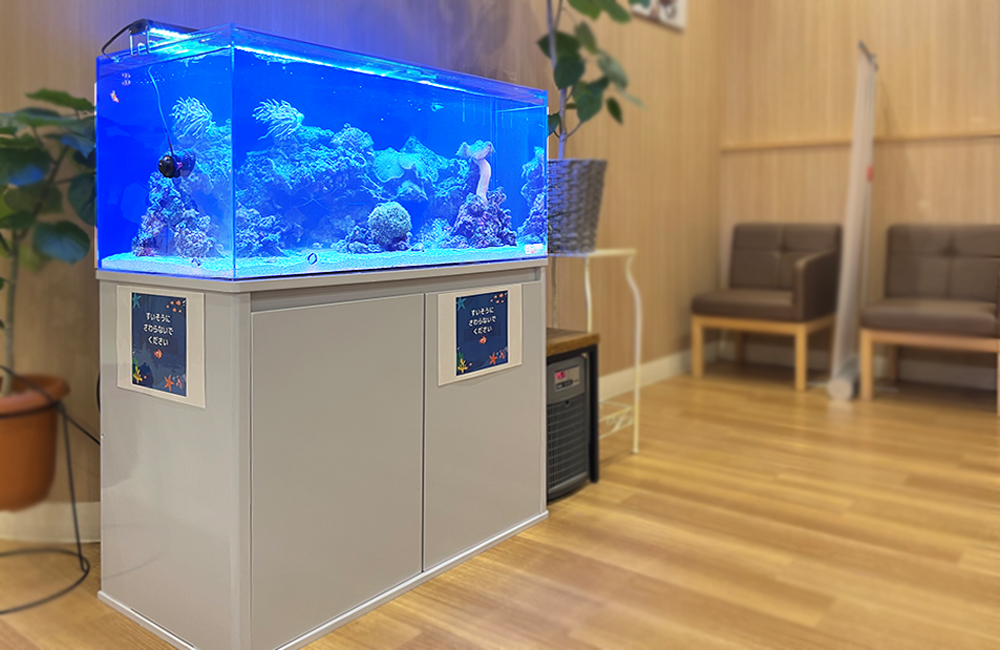 神奈川県 クリニック 90cmサンゴ水槽 レンタル事例のサムネイル画像