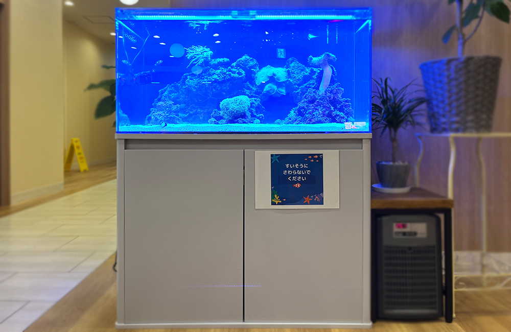 青い照明の海水魚水槽と注意書きのある白い水槽台