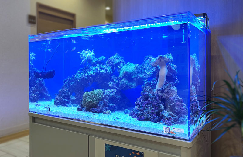 神奈川県 クリニック 90cmサンゴ水槽 レンタル事例 水槽画像2
