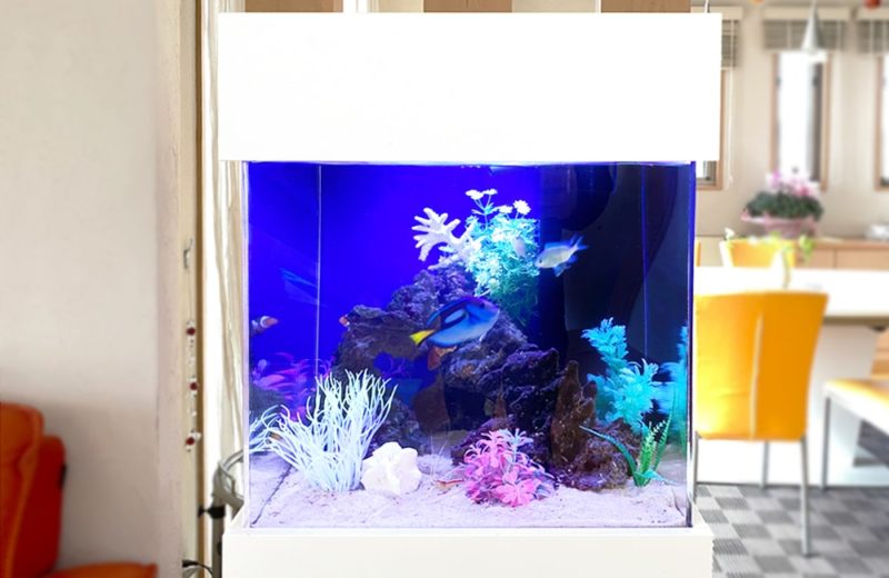 神奈川県 ご自宅のリビング 45cm海水魚水槽 レンタル事例 水槽画像2