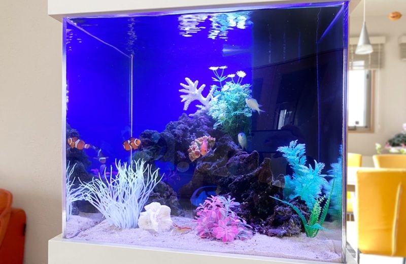 神奈川県 ご自宅のリビング 45cm海水魚水槽 レンタル事例 水槽画像4