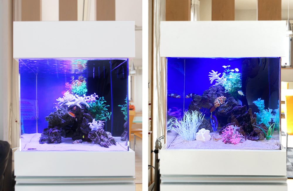 白い水槽台に設置された青い照明の海水魚水槽2枚比較画像