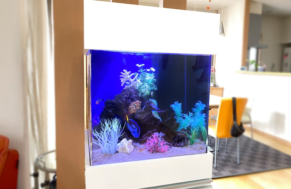 青い照明の海水魚水槽と白い水槽台のインテリア