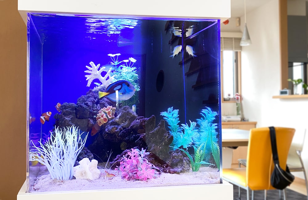 青い照明の海水魚水槽と泳ぐナンヨウハギやクマノミ類