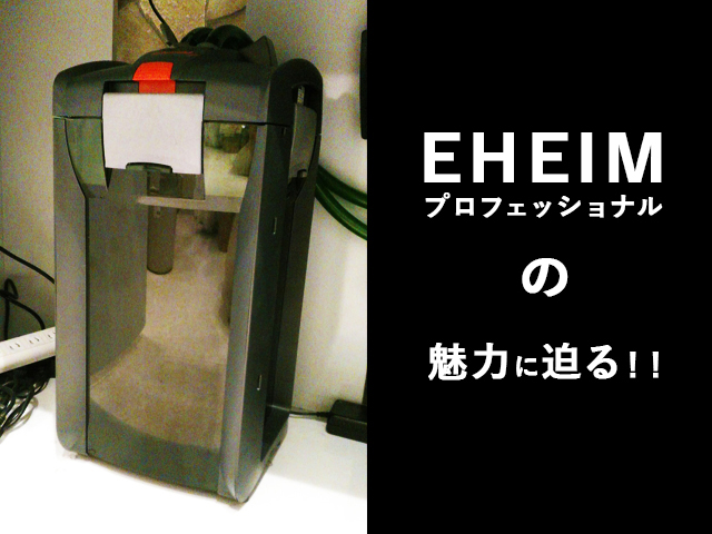 EHEIMプロフェッショナルの魅力に迫るの見出し画像