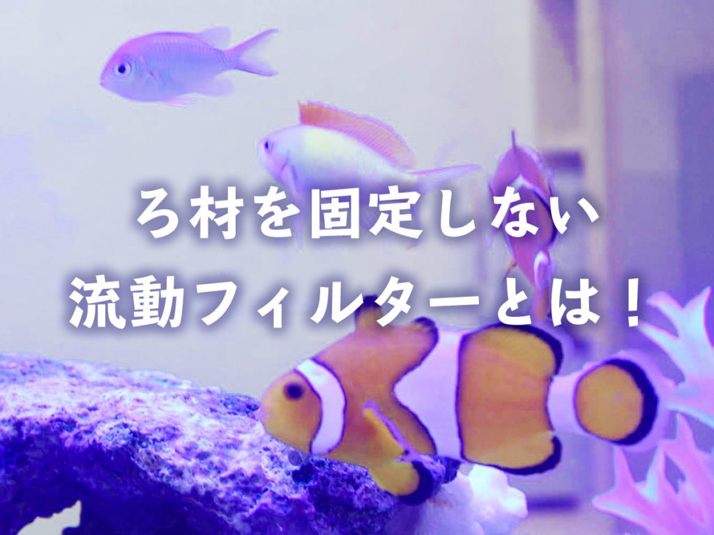 流動フィルターとは!濾材を固定しないろ過様式のメリット・デメリットのサムネイル画像