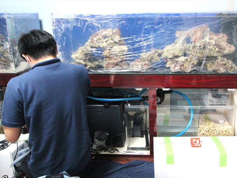 大型海水魚水槽の設置作業を行うスタッフの背中