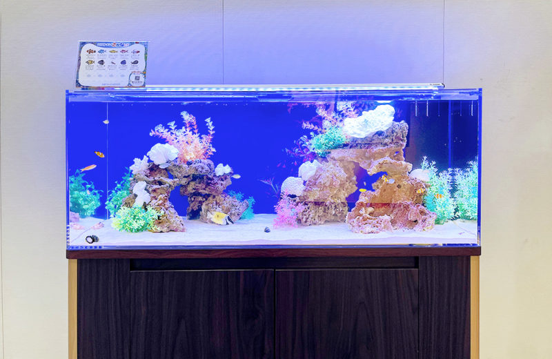 兵庫県 神崎高級工機製作所様 120cm海水魚水槽 レンタル事例 水槽画像1