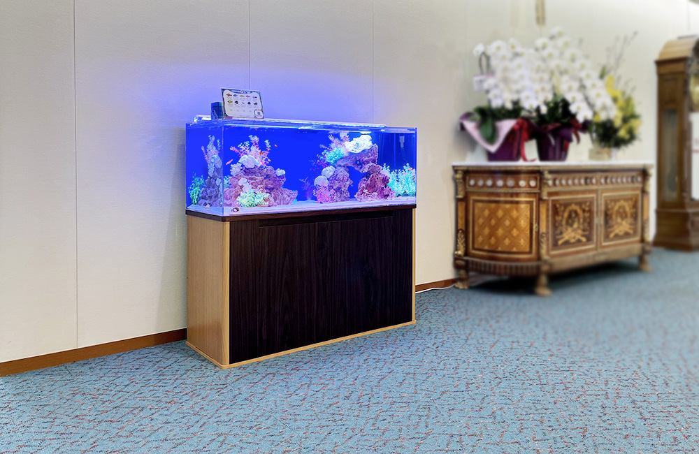 青い照明が灯る海水魚水槽と木製水槽台の設置風景