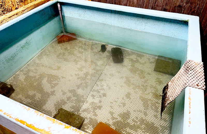 飲食店のいけす水槽を掃除!スポットメンテナンス事例 水槽画像2