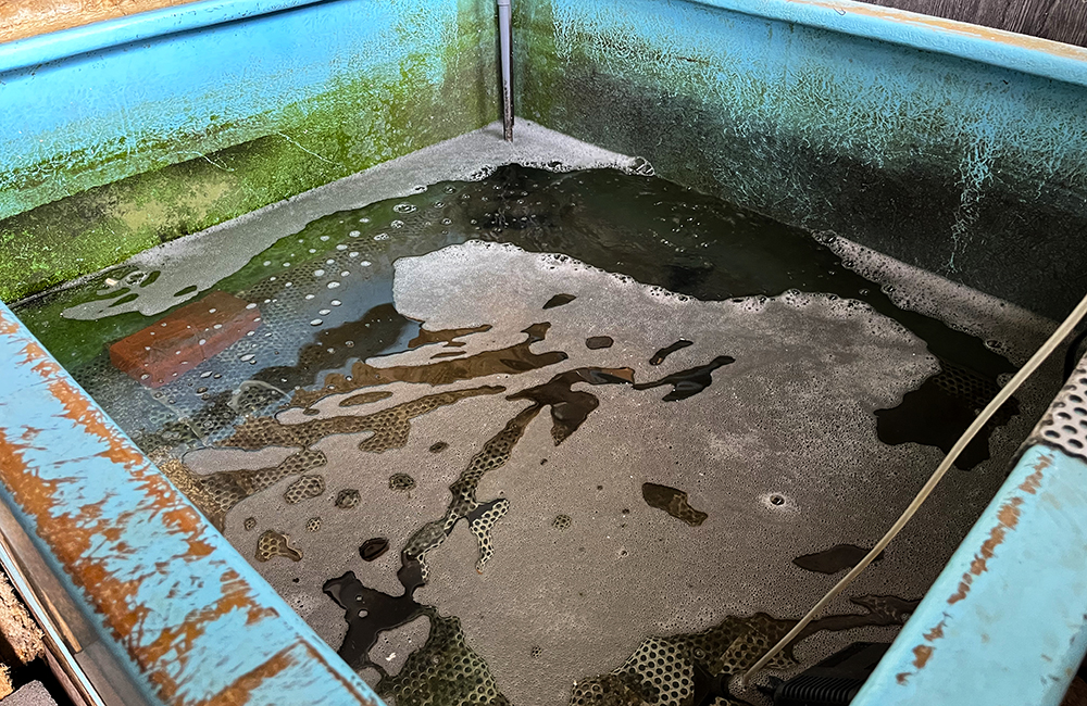水面に白い泡が浮いた青い大型水槽の汚れ具合