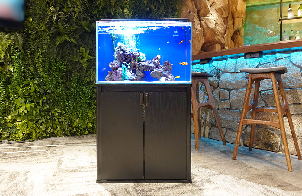 バーカウンター横に設置された海水魚水槽と黒い水槽台
