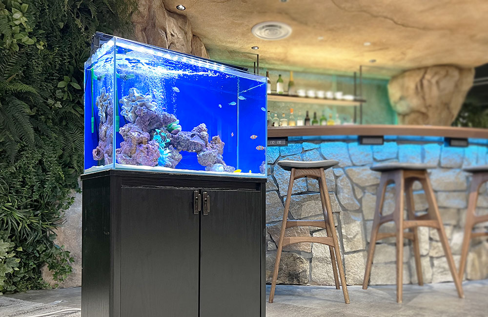 バーカウンター横に設置された青い背景の海水魚水槽