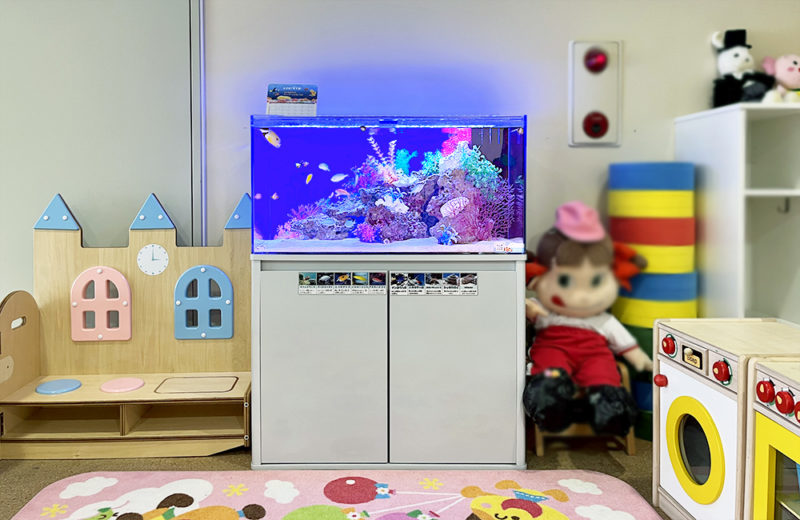 京都府 保育園様 90cm海水魚水槽 レンタル事例 水槽画像1