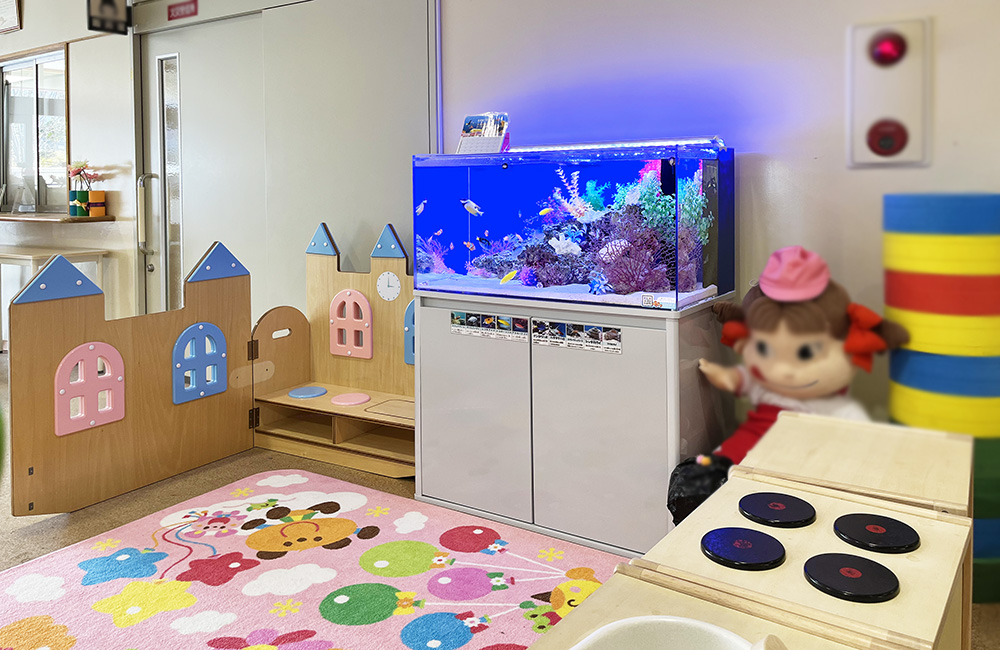 水槽 幼稚園